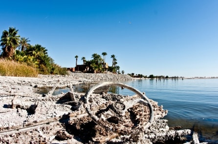 Biển hồ Salton: Từ hòn ngọc du lịch đến thảm họa môi trường