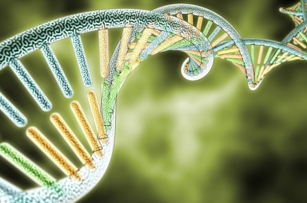 Em bé đầu tiên có DNA của 3 người chào đời ở Anh
