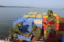 Một người Trung Quốc đưa hàng chục nghìn vịt giống trái phép vào Việt Nam