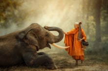 Suy ngẫm: Người thợ săn nhận quả báo vì hãm hại tăng nhân