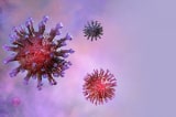 virus corona shutterstock 1624415920