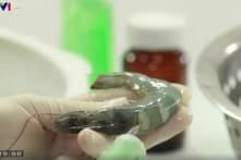 Hết vụ ‘ký sinh trùng’, VTV lại lấy tôm tươi minh họa ‘thực phẩm bẩn’