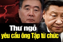 Giáo sư Trung Quốc gửi thư giục ông Tập Cận Bình từ chức