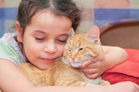 Bé gái viết thư cho chú mèo đã chết và bất ngờ nhận được hồi âm