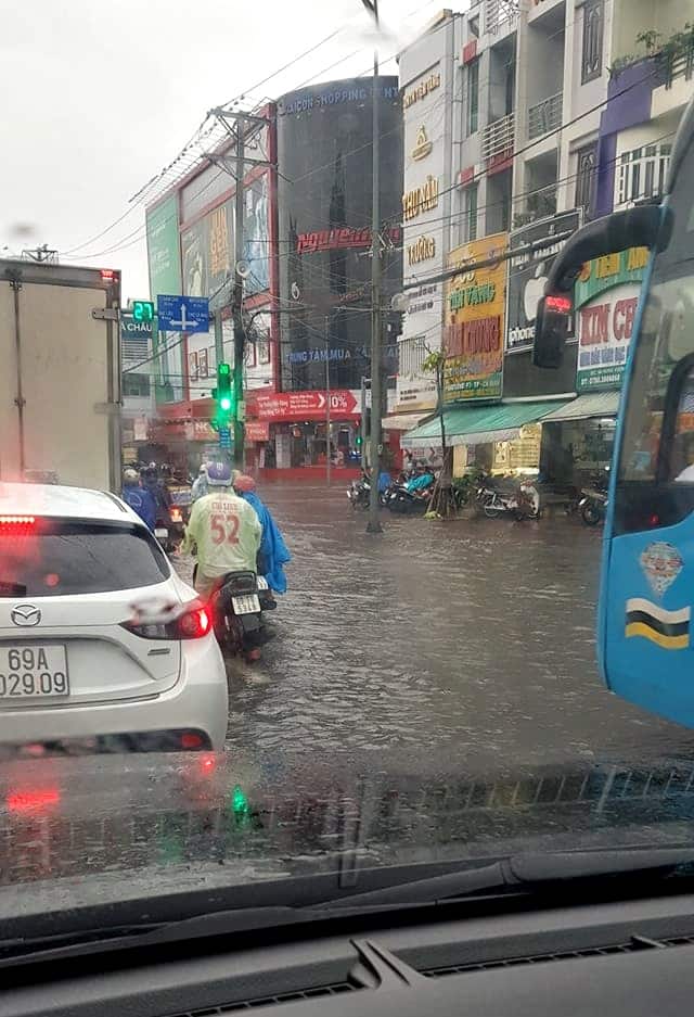 ca mau ngap