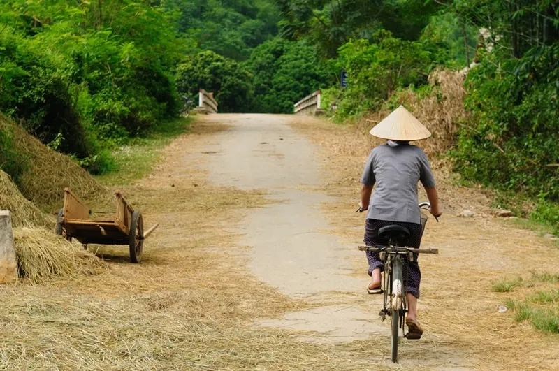 làng quê bắc bộ, đồng tâm