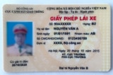 giay phep lai xe