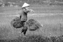 Nghĩ về Đồng Tâm