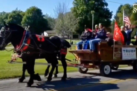 Người Amish ‘không màng thế sự’ đánh xe ngựa diễu hành ủng hộ ông Trump