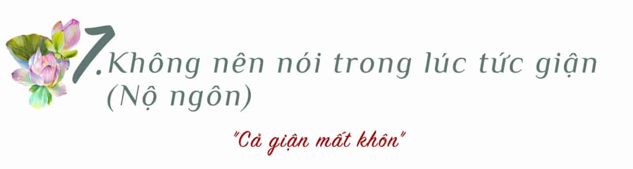 7 nộ ngôn image