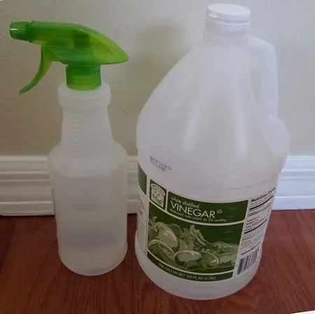 9. Vinegar and Water Solution image