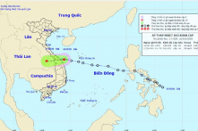 Áp thấp nhiệt đới ngay trên vùng biển các tỉnh từ Đà Nẵng đến Quảng Ngãi