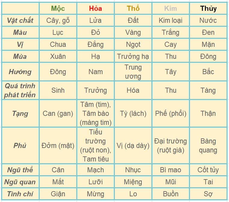 cơ thể người là một tiểu vũ trụ