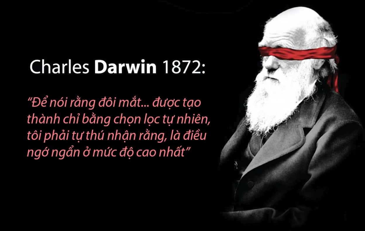 darwin copy image