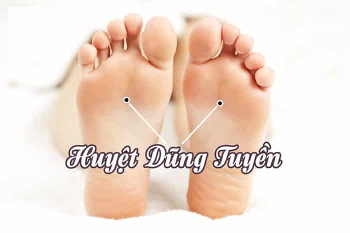 huyet dung tuyen image