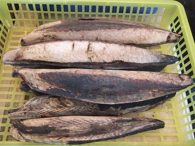 katsuobushi, fillet