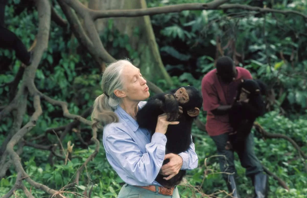 Jane Goodall: Sinh vật thông minh nhất Trái Đất đang phá hủy ngôi nhà của mình