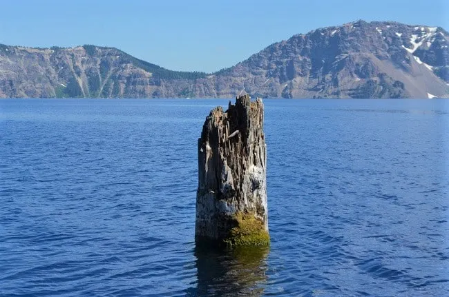 The Old Man of the Lake, khúc gỗ kỳ lạ, Khúc gỗ bí ẩn, kỳ lạ