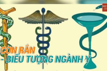 Vì sao biểu tượng của ngành Y lại là con rắn?
