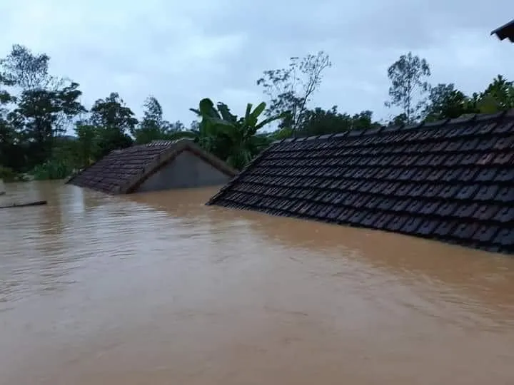 mua lu nghe an 4