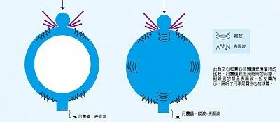 Trái: sóng âm truyền trong một kết cấu rỗng. Phải: sóng truyền trong khối đặc (Ảnh: Internet)