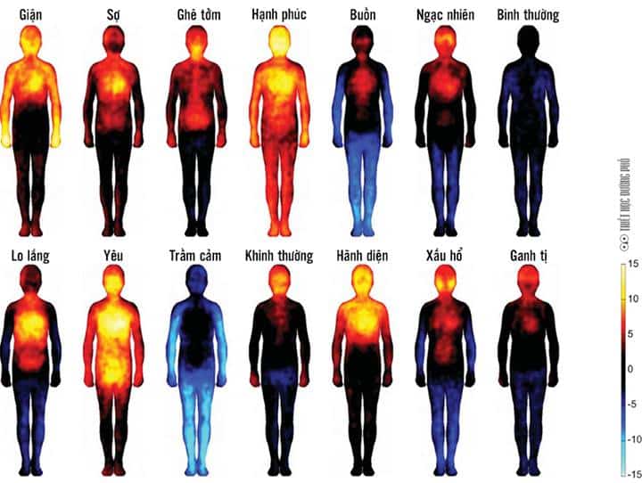 Các cảnh giới khác nhau có tần số năng lượng khác nhau