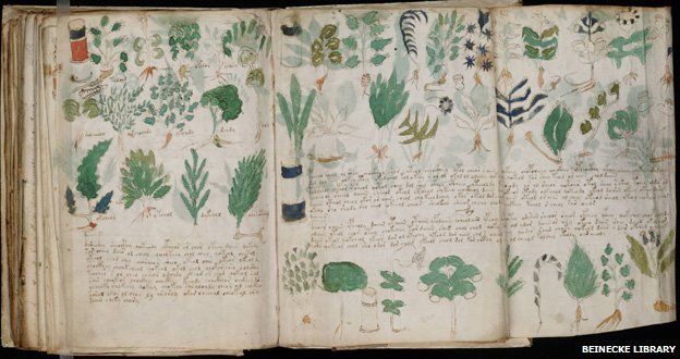 2 voynich image