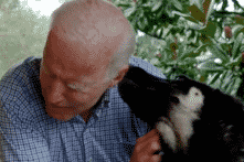 Ông Joe Biden bị trật khớp chân khi chơi với chó