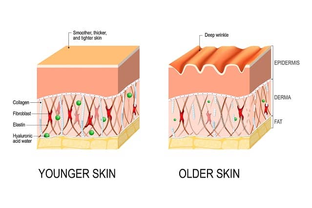 Bổ sung collagen