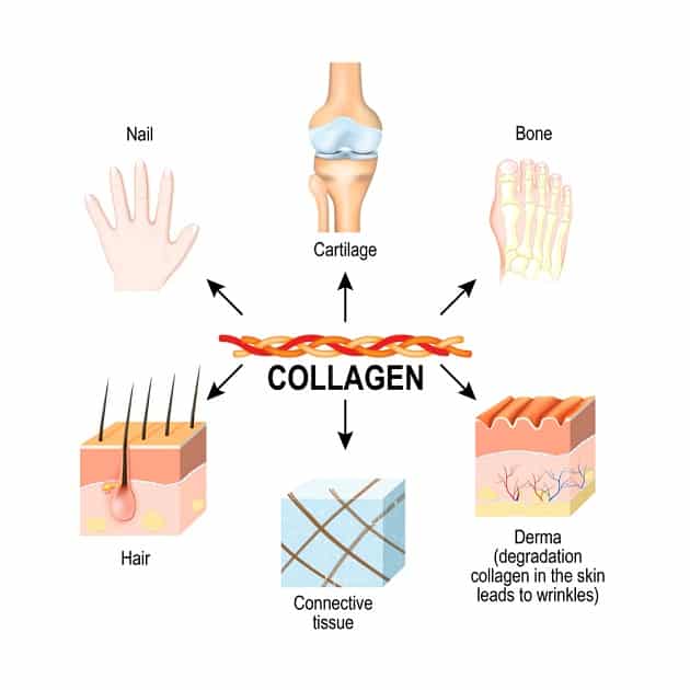 Bổ sung collagen