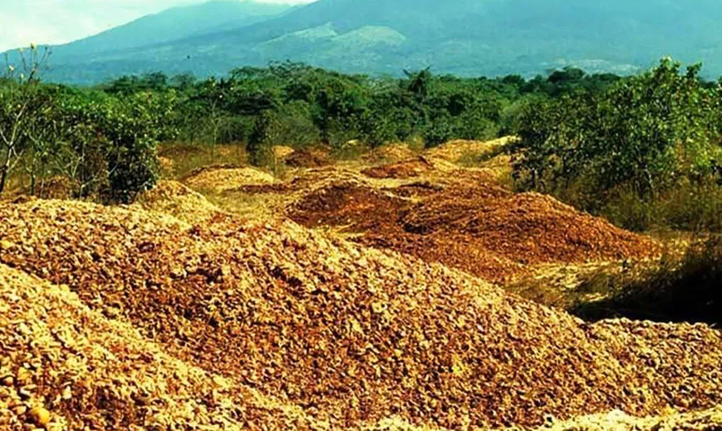 Costa Rica Orange Peels 1020x610 image