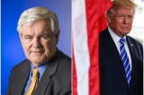 Gingrich Trump