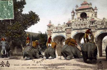 Những đội kỳ binh xuất hiện trong sử Việt