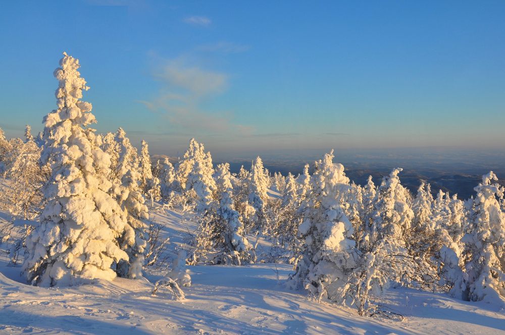 Sunset snow Saguenay Quebec. image