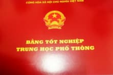 Đắk Lắk: Chỉ huy trưởng Ban chỉ huy quân sự phường không có bằng tốt nghiệp THPT