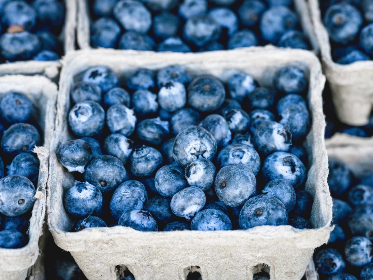 blueberries image