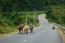 Bộ GTVT kiến nghị tăng thêm 10%/năm vốn bảo trì đường bộ