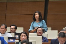 ĐBQH: Rừng tăng từ 9 triệu lên 14 triệu ha là ‘rất vô lý và có điều gì đó sai sai’