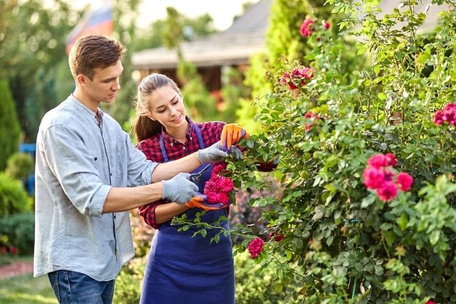 Hãy rời xa smartphone vào cuối tuần, làm vườn mang lại rất nhiều lợi ích