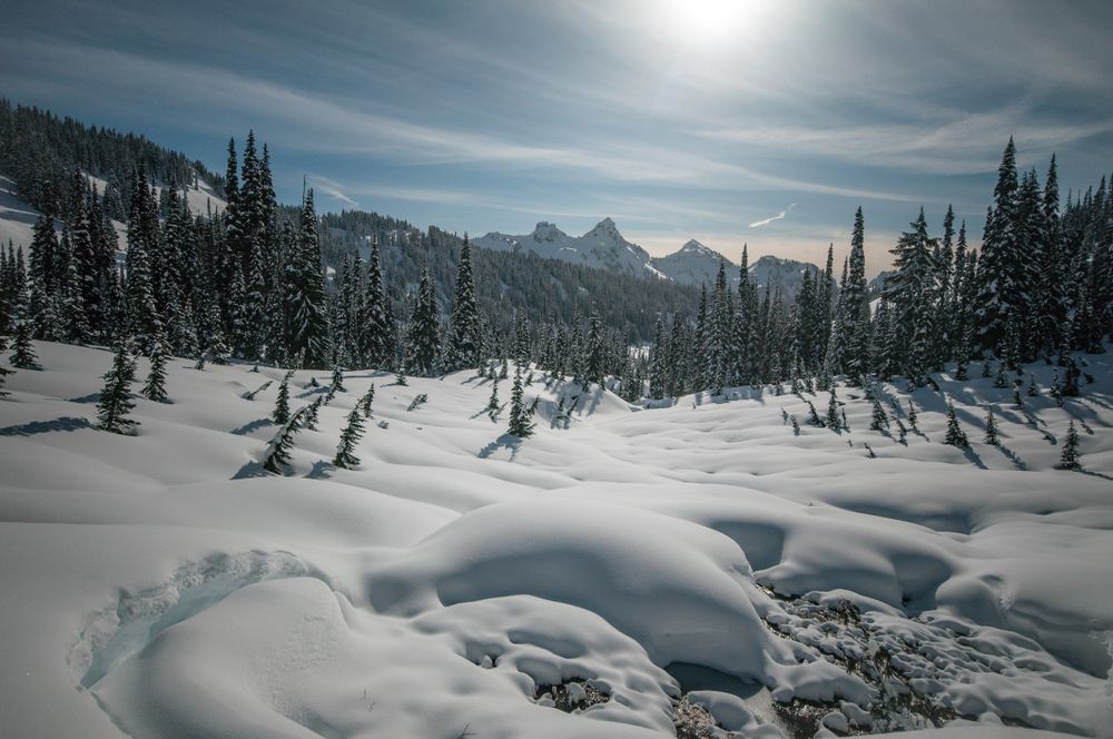 mount rainier snow. image