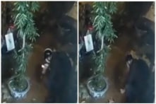 Khởi tố cựu trung úy ‘thử súng’ khiến nam sinh viên thiệt mạng