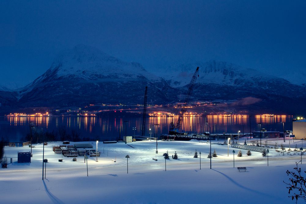 night valdez alaska image