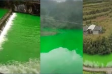 TQ: Nước sông ở Hồ Bắc chuyển màu xanh lạ