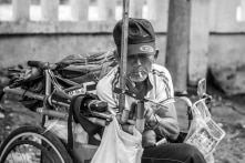 Sếp tôi dùng bằng giả