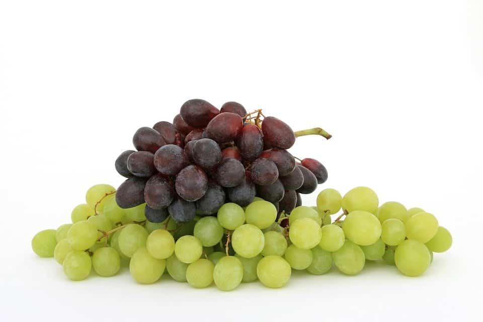 pixabay grape image