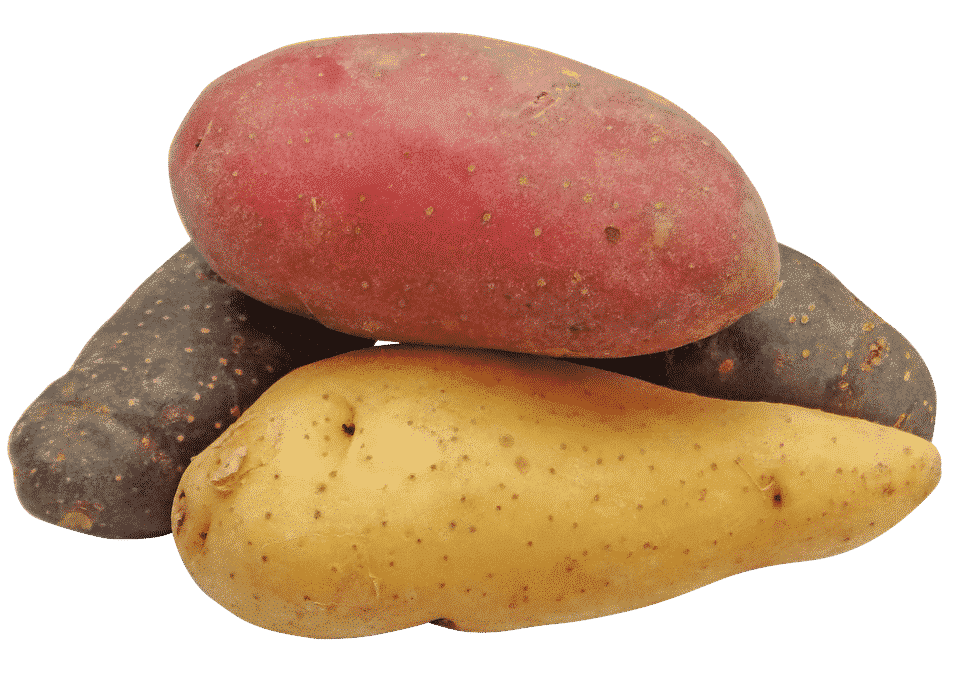 pixabay potato image