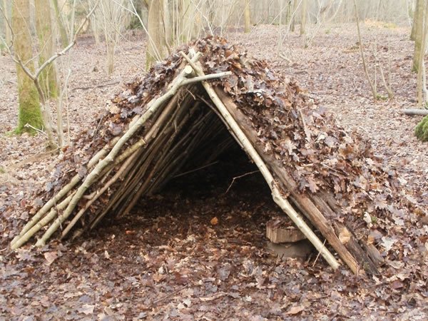 shelter debris shelter 1 internet image