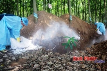 Bình Phước tái xuất hiện dịch tả lợn châu Phi