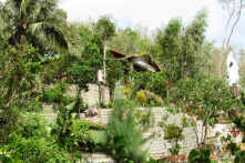 Cựu chủ tịch UBMTTQ Bình Định bị phạt 4 triệu đồng vì chuyển đổi trái phép đất rừng