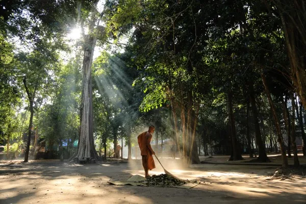 Trân quý hiện tại là thái độ nhân sinh đúng đắn